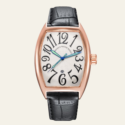The Verona Curvature Watch